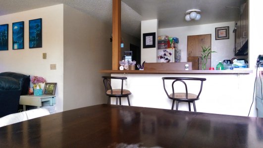 IMAG0029.jpg
