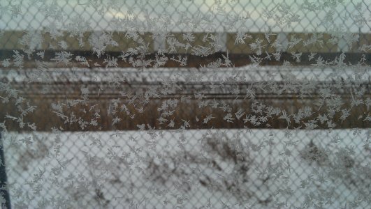 IMAG0570.jpg