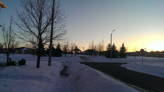 IMAG0780.jpg