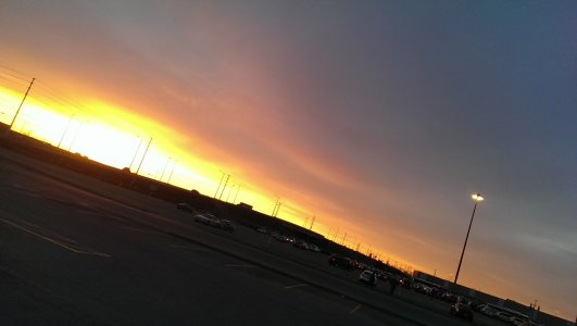 IMAG0980.jpg