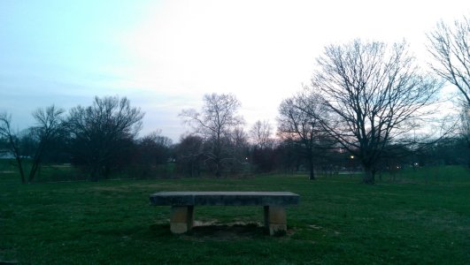 2014-04-12 20.31.08.jpg