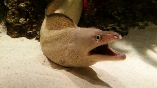 20140427_151544[1].jpg
