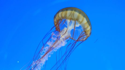 20140427_151436[1].jpg