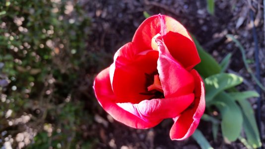 20140509_153202.jpg