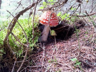 20120805_132220.jpg