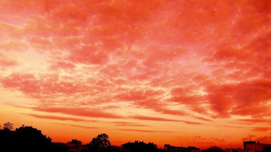 IMAG0651_1.jpg