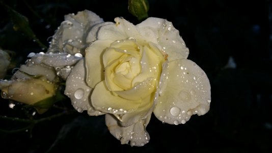 20140411_081604[1].jpg