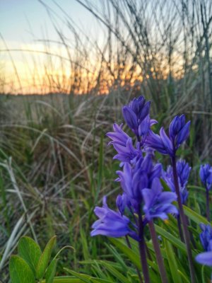20140412_200236_Richtone(HDR)_1.jpg