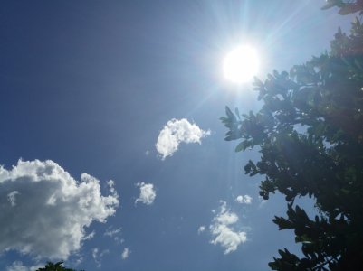 CAM00219.jpg