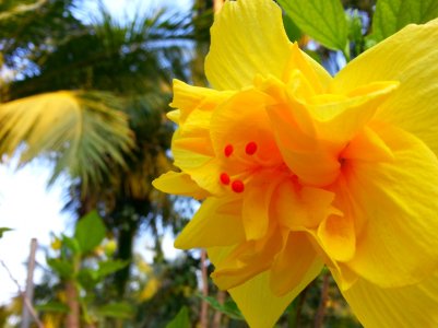20140428_171045.jpg