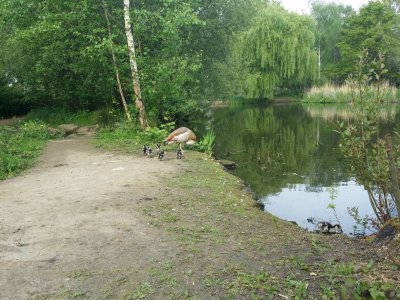 20140429_164839.jpg