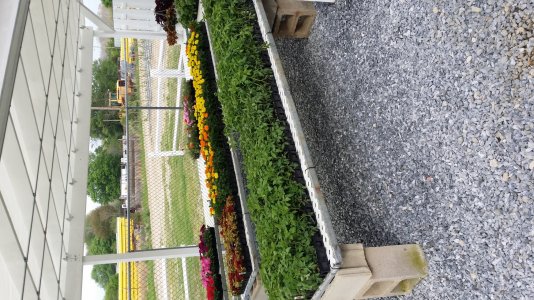 20140509_170155.jpg
