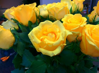 IMG_20140430_131510~2.jpg