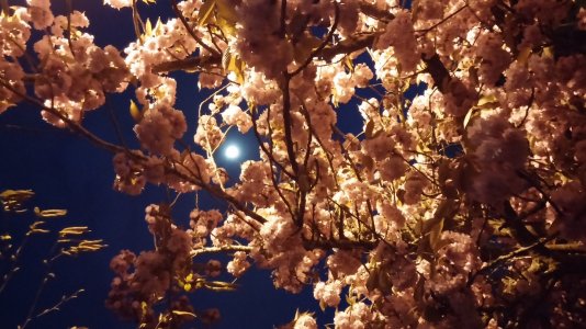 20140411_203650_Night.jpg