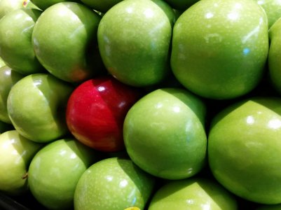 Apples.jpg