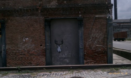IMAG1067.jpg