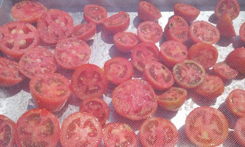 samos' tomatoes .jpg