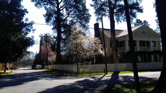 2013-03-16102620_zps407cdf20.jpg