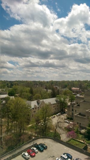 IMAG0213.jpg