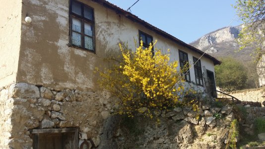20140330_162410.jpg