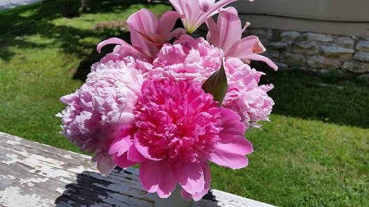 20140525_120157.jpg