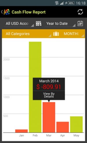 Report - Monthly Cash Flow.jpg