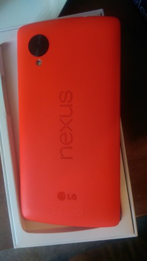 IMAG0126.jpg