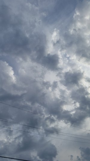 2014-05-15 18.58.40.jpg