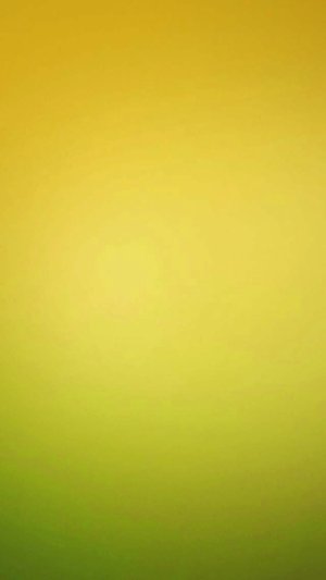 hd-iphone-5-wallpapers-02.jpg