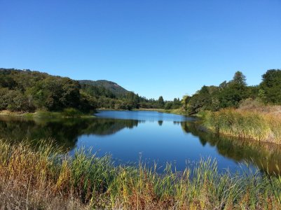 Fern Lake.jpg
