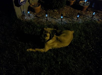 uploadfromtaptalk1401308306276.jpg