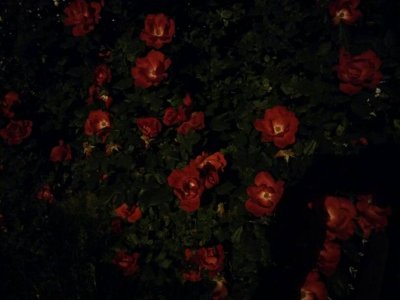 uploadfromtaptalk1401308517811.jpg