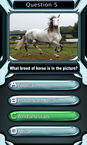 horse quiz android game2.png