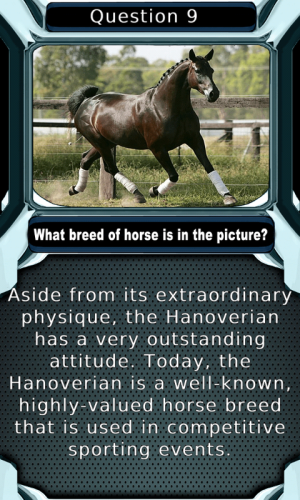 horse quiz android game.png