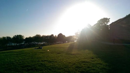 IMAG1519.jpg