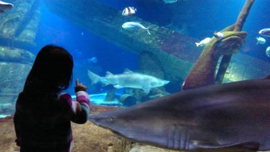 2013-09-21 15.29.30-2.jpg