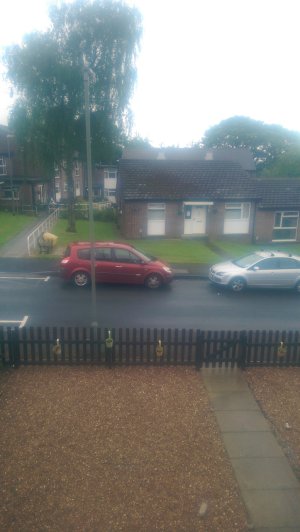 IMAG0295.jpg