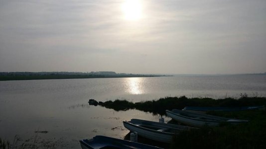 10630.jpg
