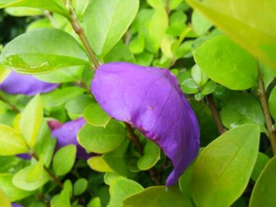 20140517_101219.jpg
