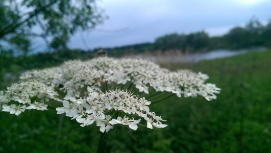 2014-05-20 16.29.33.jpg
