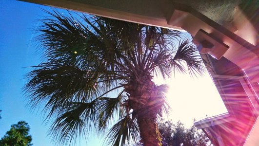 IMAG0125_1.jpg