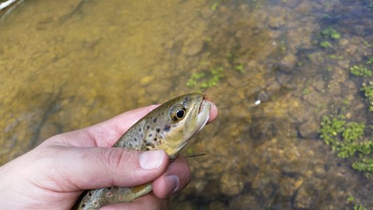 20140517_114526.jpg