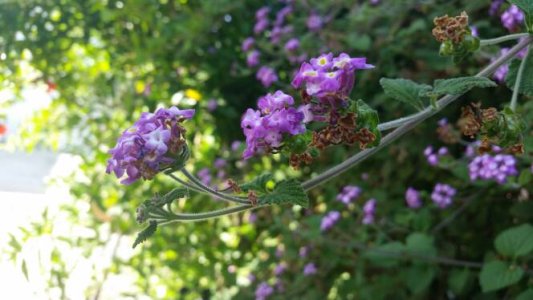 20140618_174318.jpg