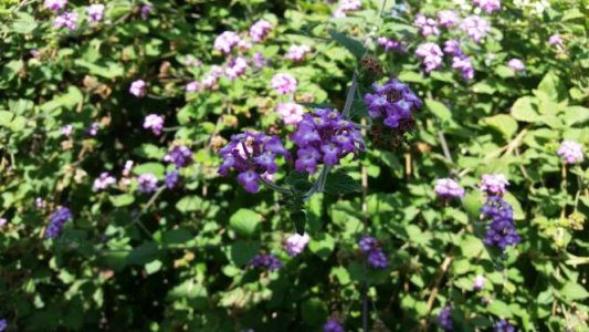 20140614_161802.jpg