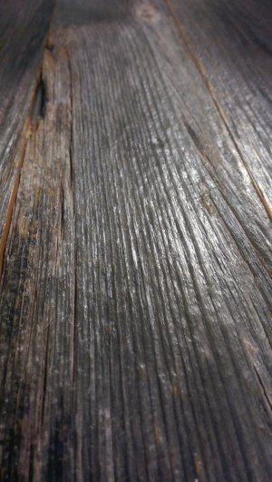 IMAG0048.jpg