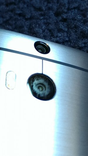IMAG0014.jpg