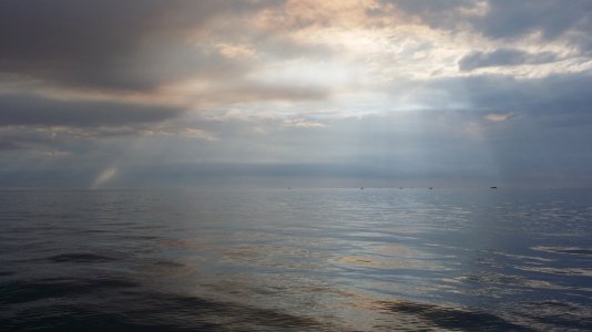 Water.jpg