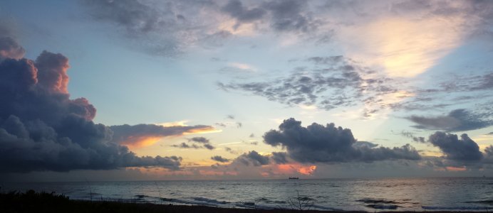 Palm Beach 06182014.jpg