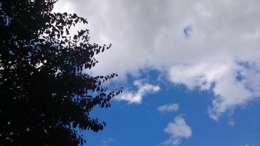 DSC_0006.jpg