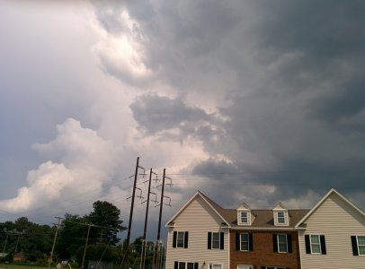 IMG_20140619_160137.jpg
